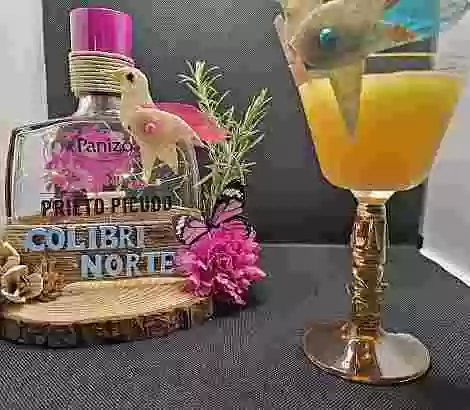 Colibri del norte