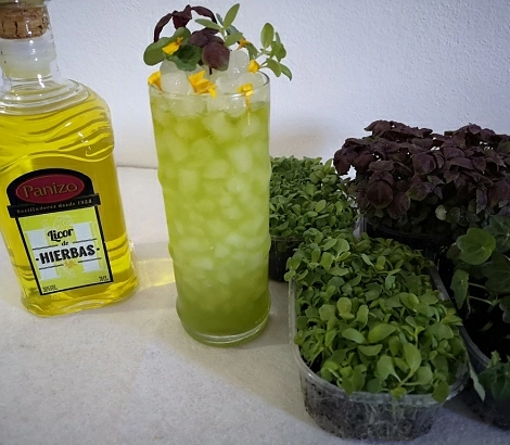 Panizo & sanho garden